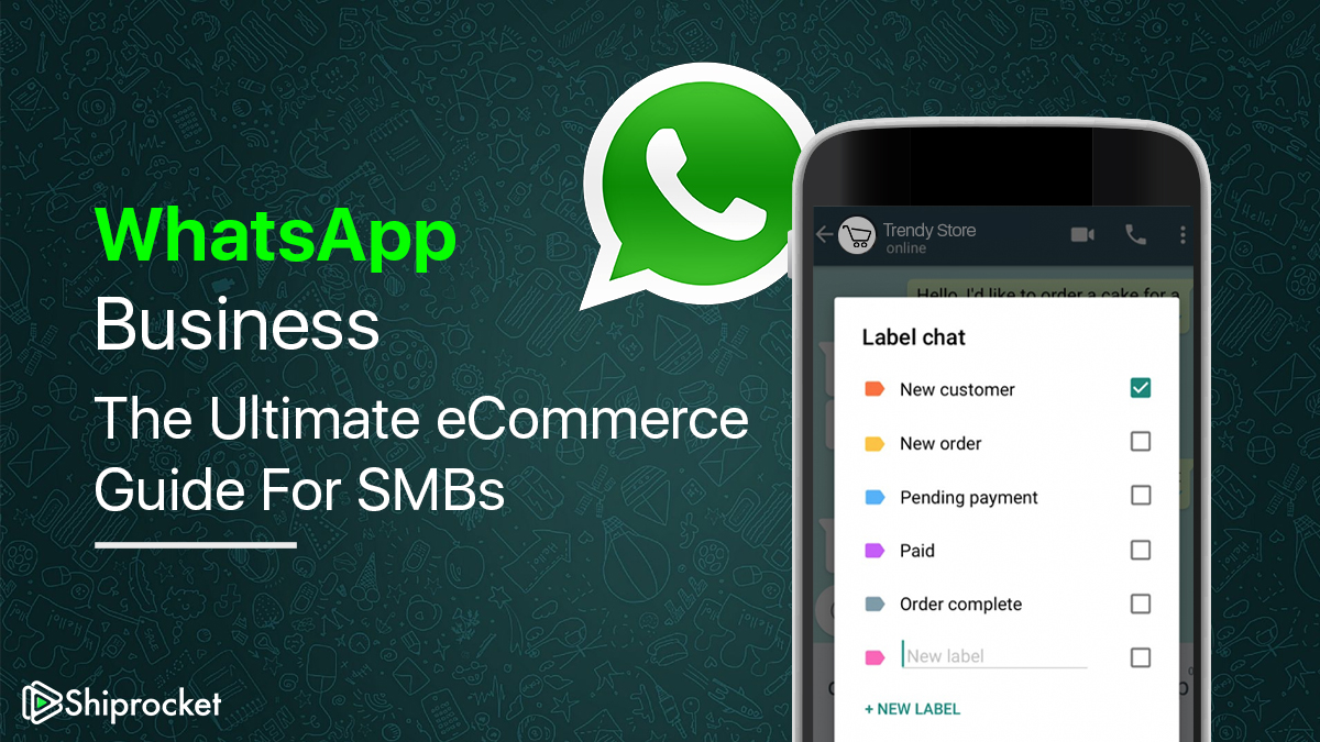 WhatsApp Business App Guide