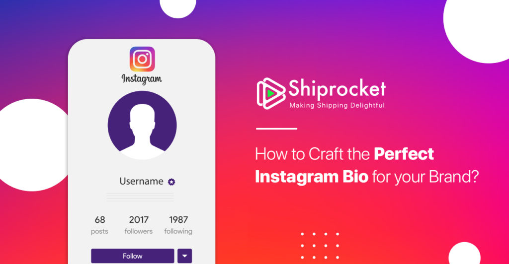 Tips to Craft the Perfect Instagram Bio for Your Brand - Shiprocket