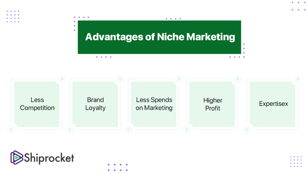 Niche Marketing: Definition, Strategies, and Examples to win