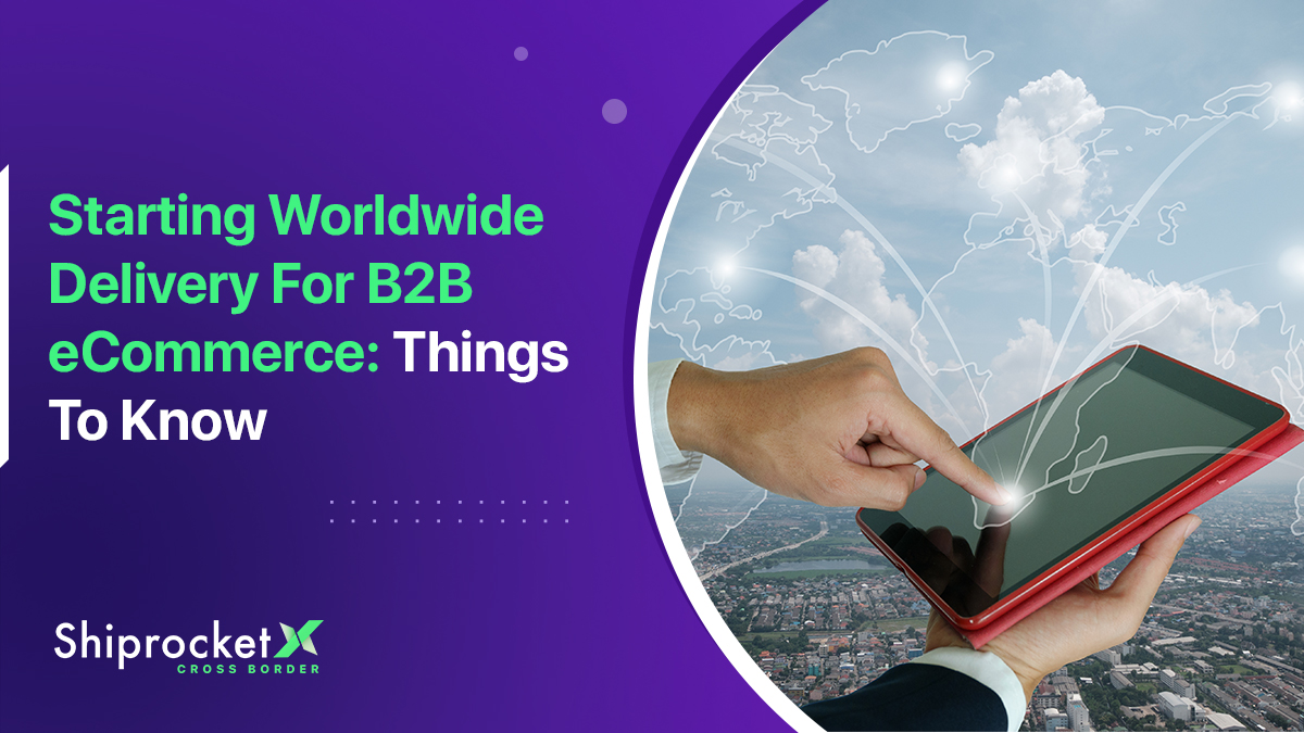 Things To Lookout For Before Starting World Wide Delivery In B2B eCommerce